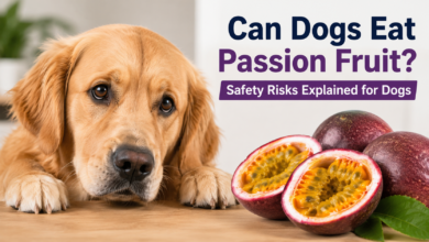Can Dogs Eat Passion Fruit
