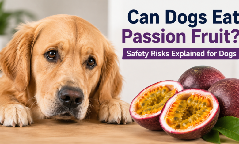 Can Dogs Eat Passion Fruit