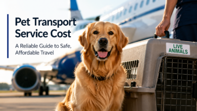 Pet transport service cost guide with Golden Retriever and pet carrier
