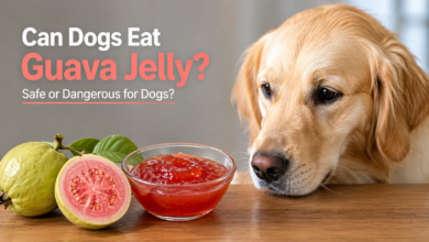 can dogs eat guava jelly