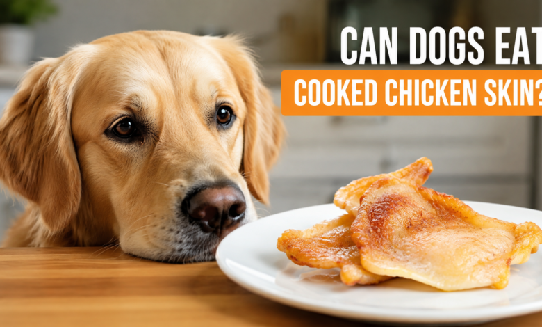 can dogs eat cooked chicken skin