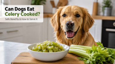 Can Dogs Eat Celery Cooked Safely