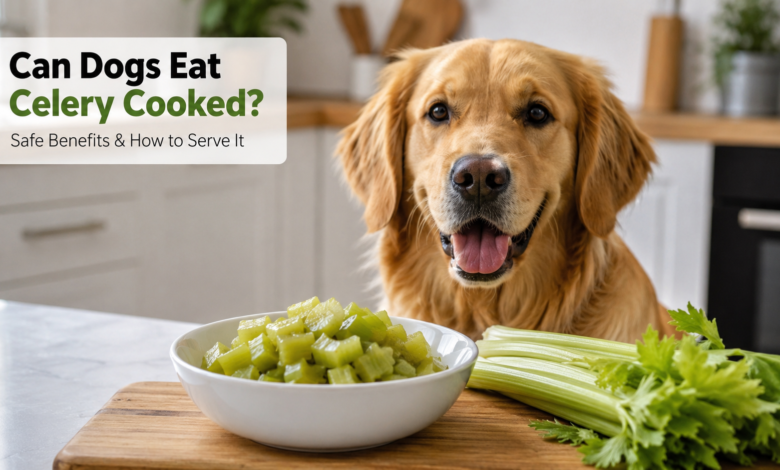 Can Dogs Eat Celery Cooked Safely