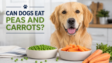 Can Dogs Eat Peas and Carrots