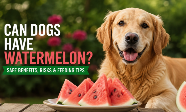 Can Dogs Have Watermelon