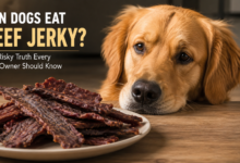 Can Dogs Eat Beef Jerky