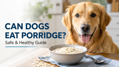 Can Dogs Eat Porridge