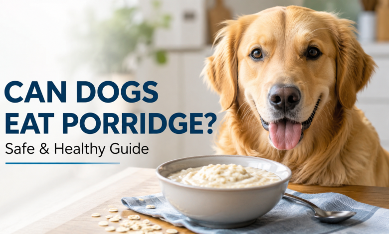 Can Dogs Eat Porridge