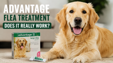 advantage pet flea treatment