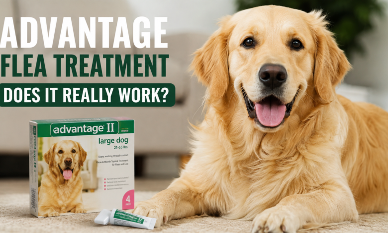 advantage pet flea treatment