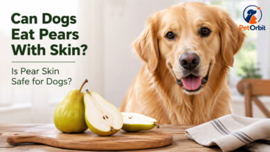 Can dogs eat pears with skin? Pear skin and fresh pear for dogs