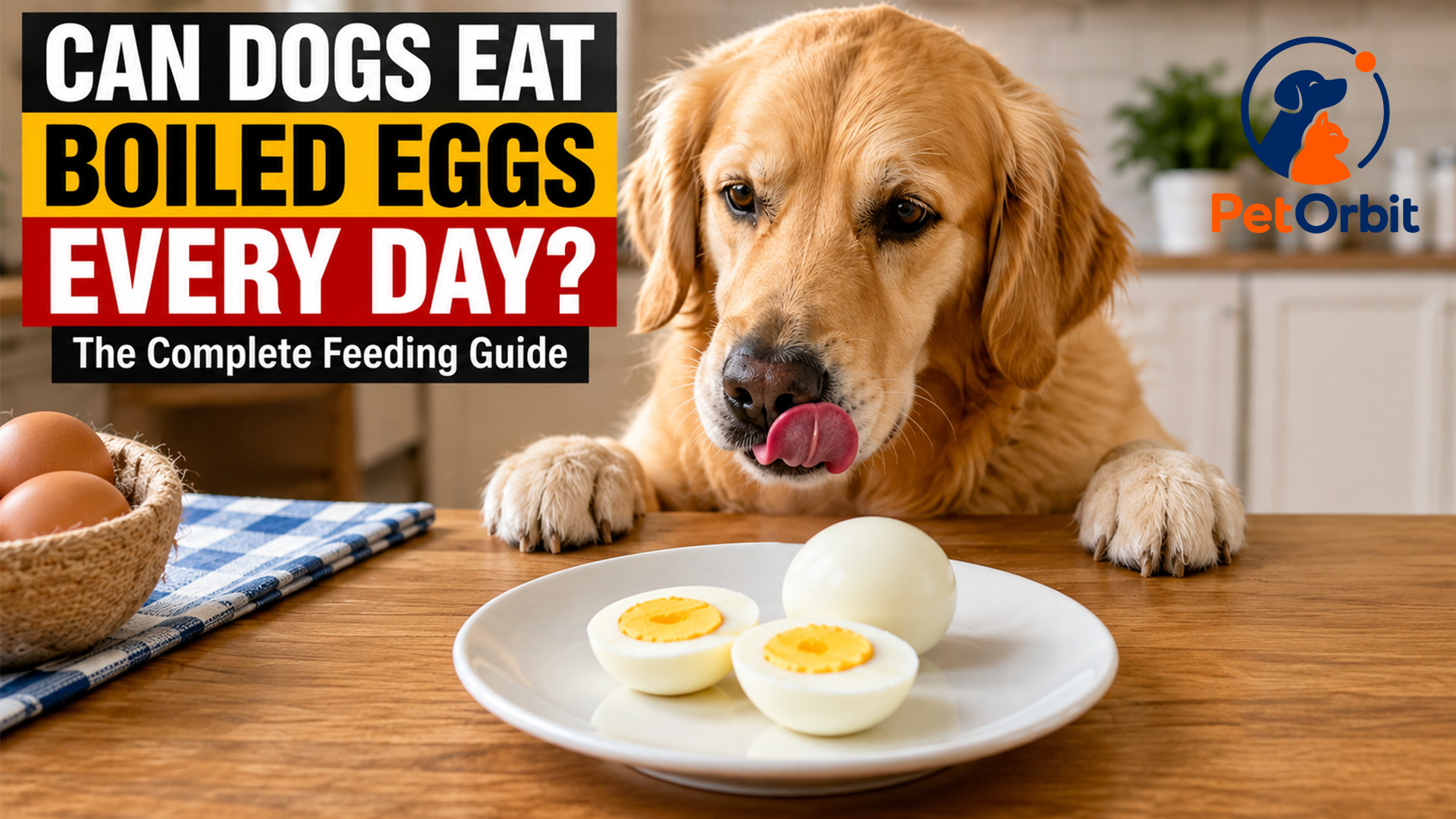 Can Dogs Eat Boiled Eggs Every Day
