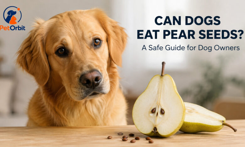 can dogs eat pears seeds