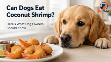 Can dogs eat coconut shrimp? Safe shrimp options for dogs