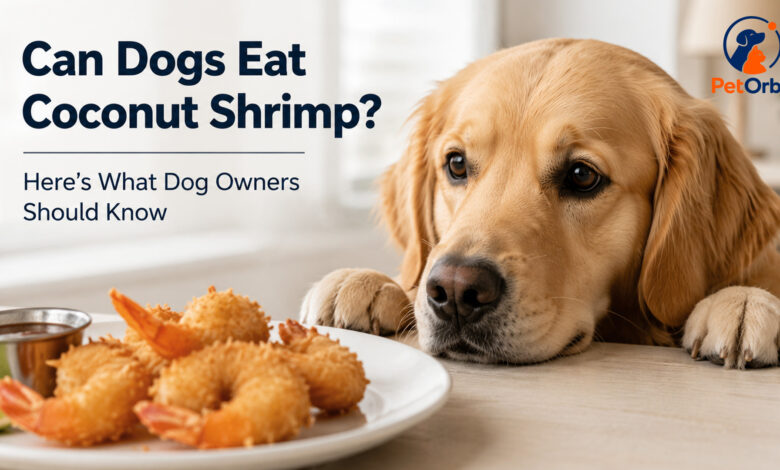 Can dogs eat coconut shrimp? Safe shrimp options for dogs