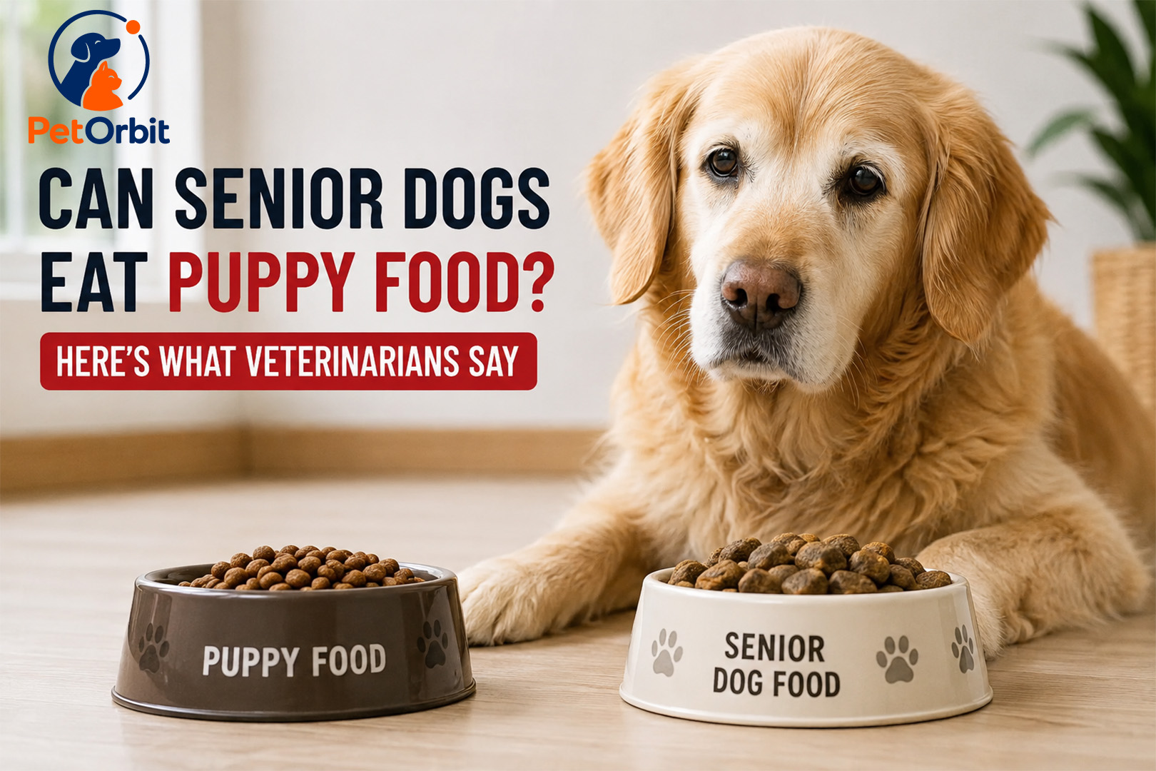 can senior dogs eat puppy food