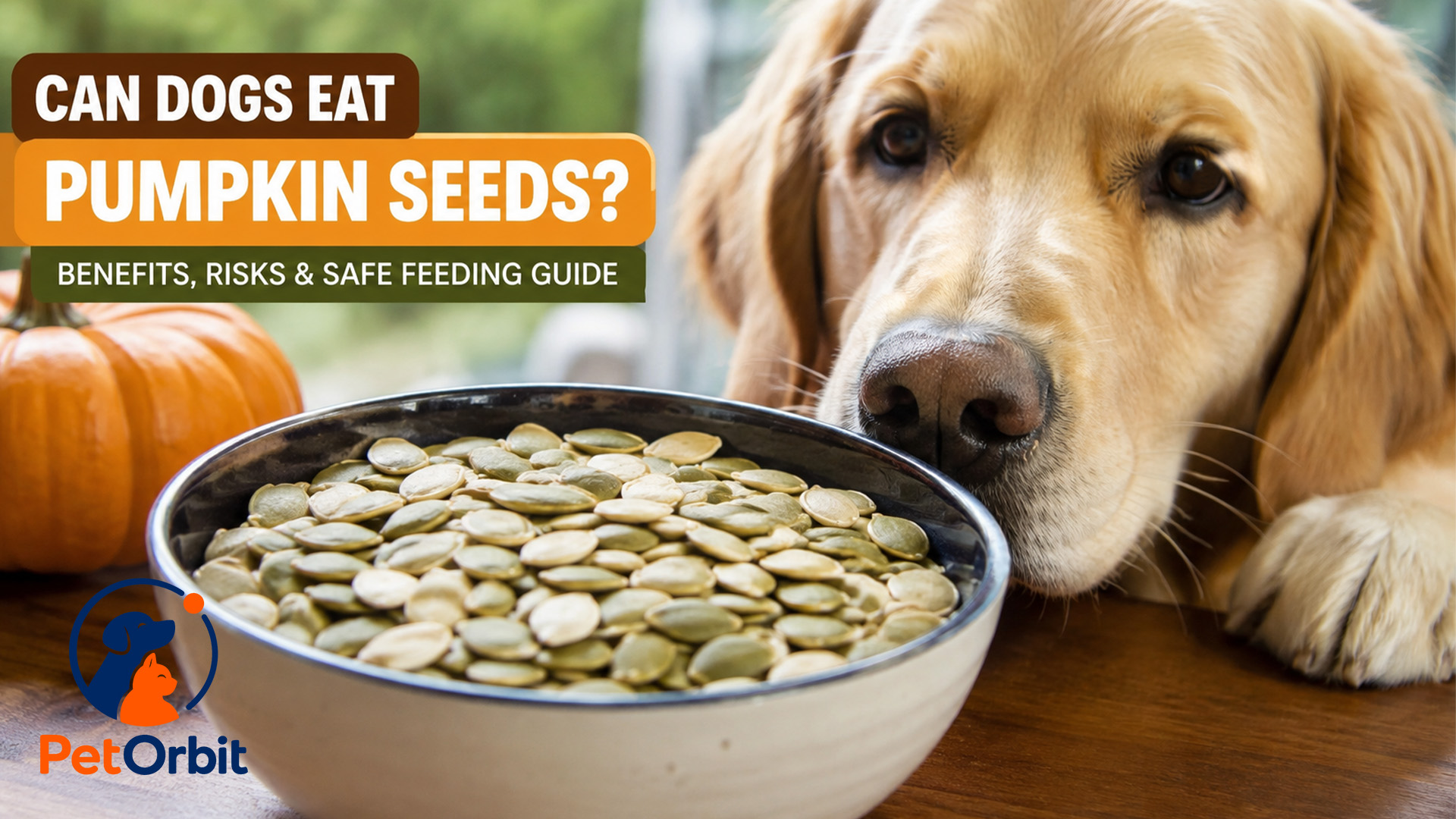 can dogs eat pumpkin seeds