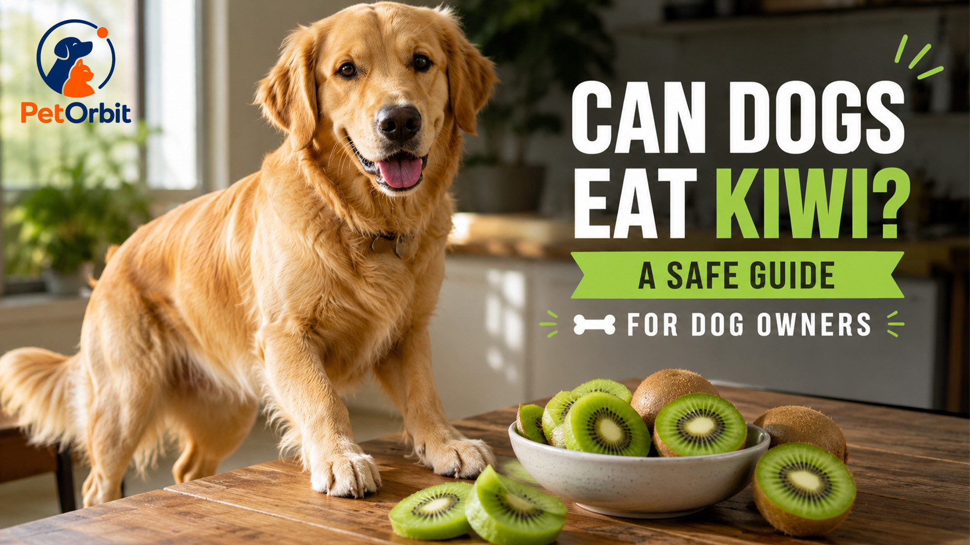 Can Dogs Eat Kiwi
