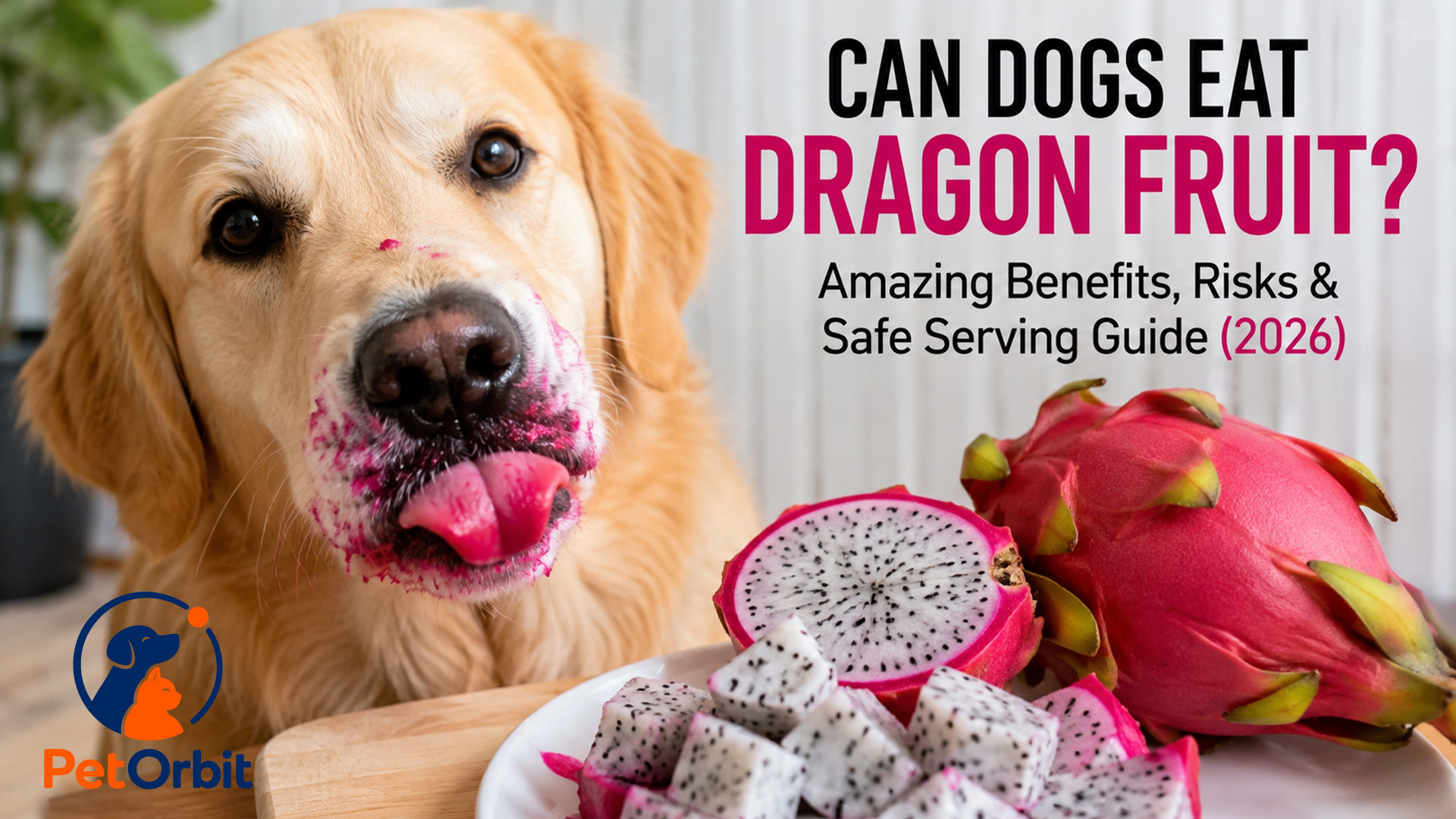 Can Dogs Eat Dragon Fruit