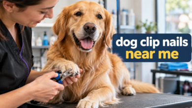 dog clip nails near me