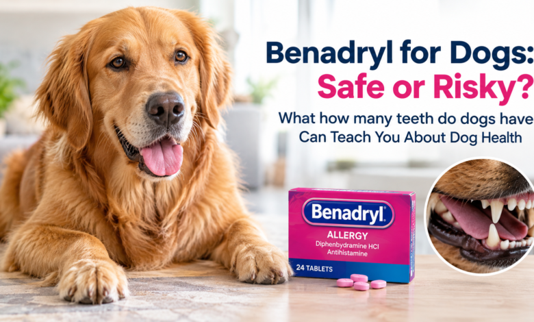 how many teeth do dogs have