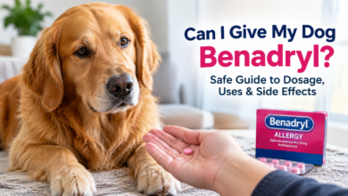 can i give my dog benadryl