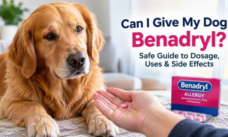 can i give my dog benadryl